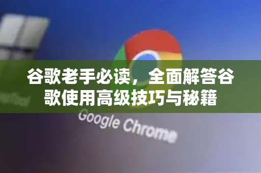 谷歌老手必读，全面解答谷歌使用高级技巧与秘籍