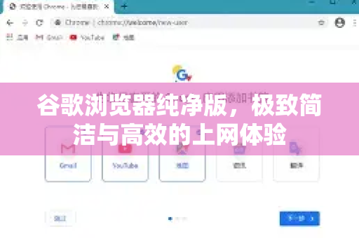 谷歌浏览器纯净版，极致简洁与高效的上网体验