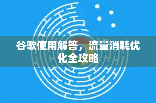 谷歌使用解答，流量消耗优化全攻略