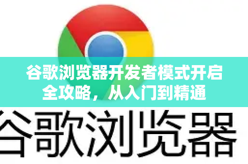 谷歌浏览器开发者模式开启全攻略，从入门到精通