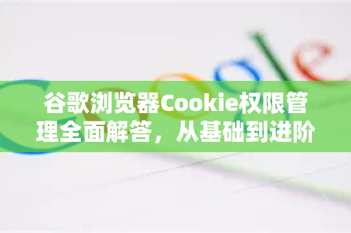 谷歌浏览器Cookie权限管理全面解答，从基础到进阶实战指南