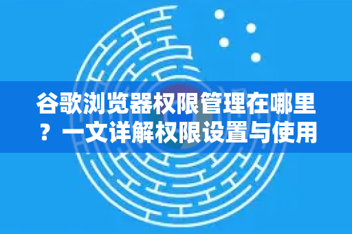 谷歌浏览器权限管理在哪里？一文详解权限设置与使用技巧