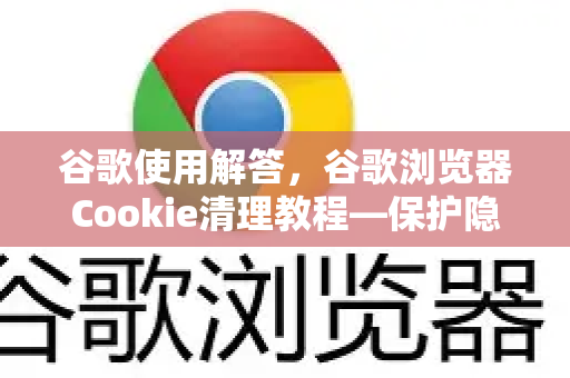 谷歌使用解答，谷歌浏览器Cookie清理教程—保护隐私与提升浏览速度的必备技巧