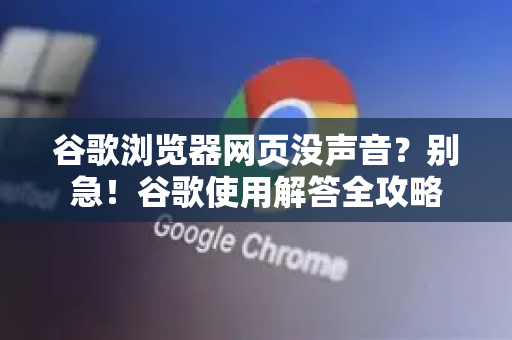 谷歌浏览器网页没声音？别急！谷歌使用解答全攻略