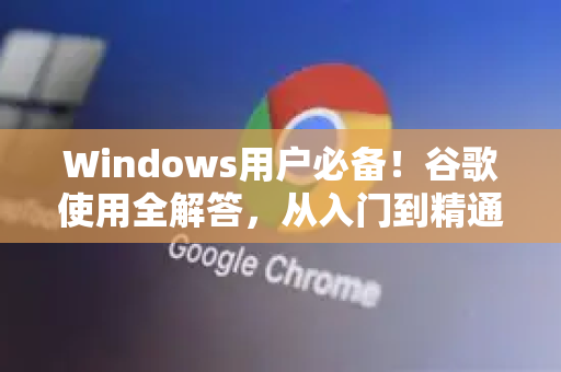 Windows用户必备！谷歌使用全解答，从入门到精通