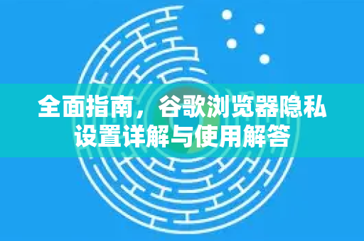 全面指南，谷歌浏览器隐私设置详解与使用解答